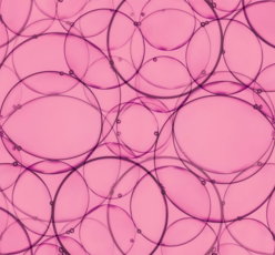 overlapping-pink-bubbles-create-an-abstract-pattern-.jpg Overlapping pink bubbles create an abstract pattern.